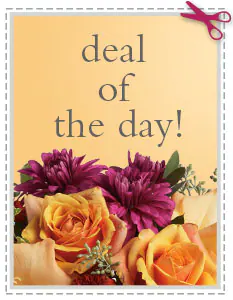 Send eal of the Day - Biggest Freshest Arrangement