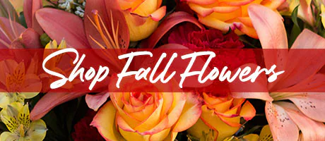 Send Fall Flowers
